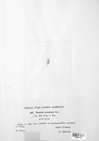 Puccinia graminis image